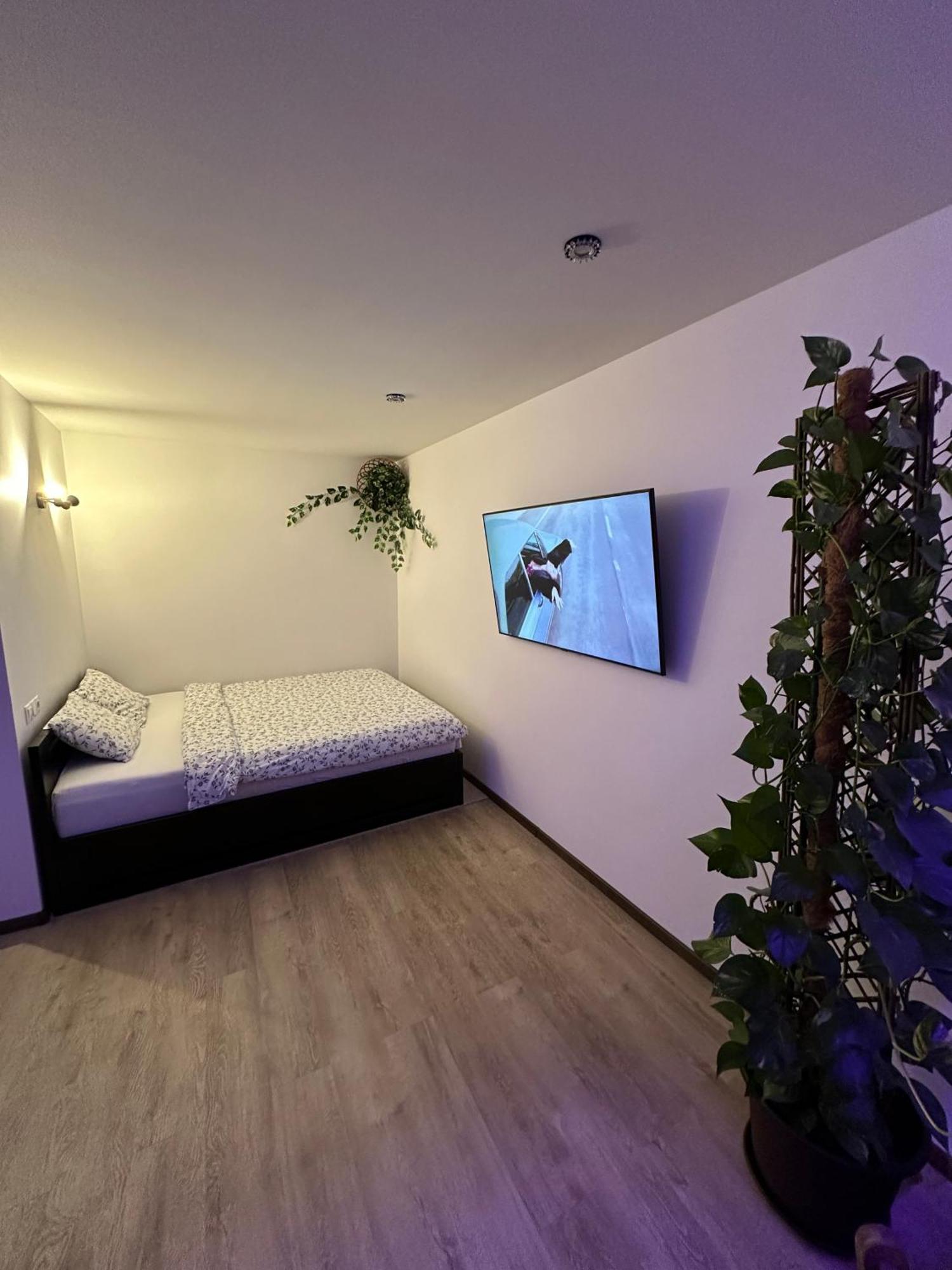 ולמיירה Studio Apartment מראה חיצוני תמונה
