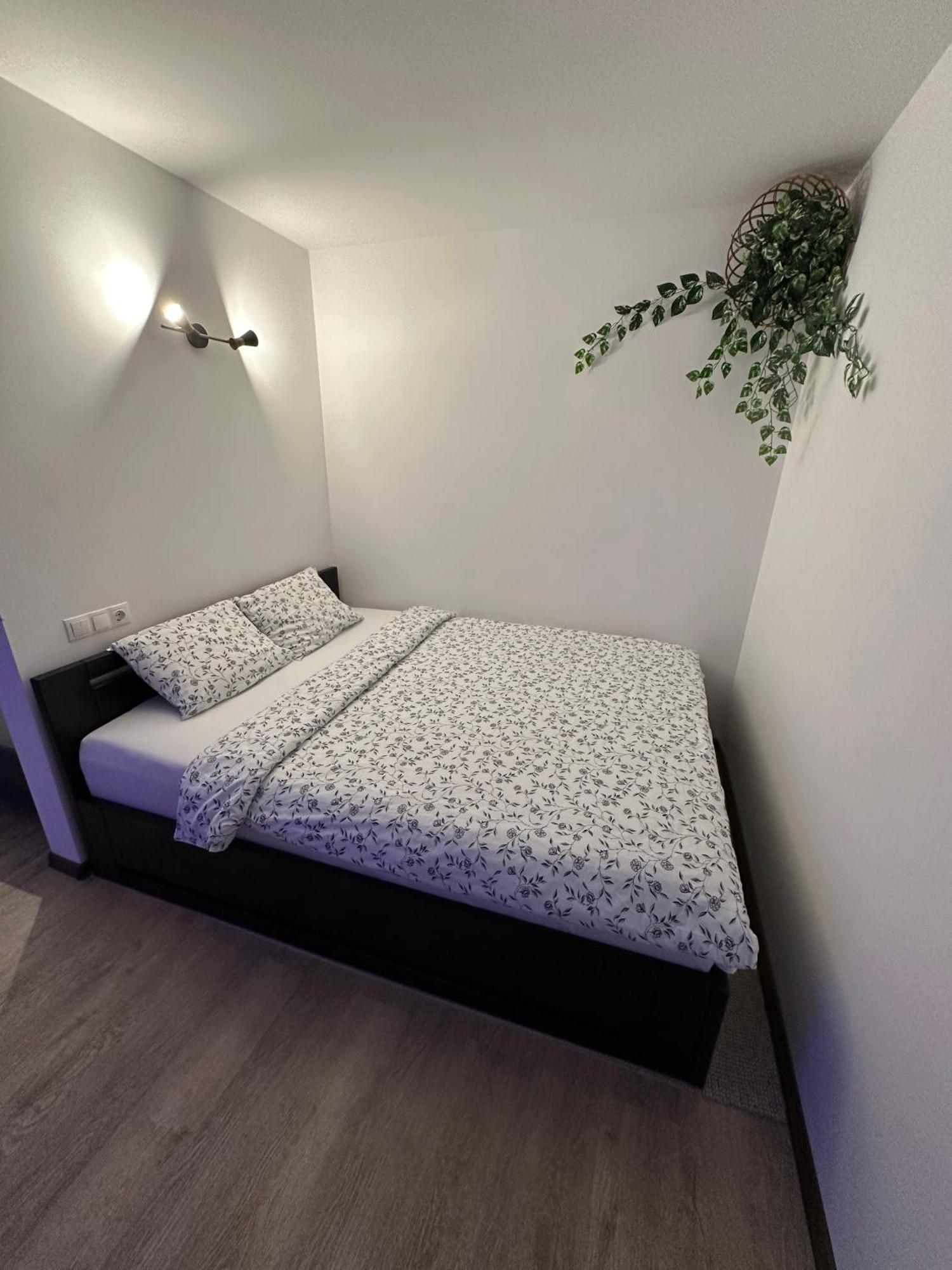 ולמיירה Studio Apartment מראה חיצוני תמונה